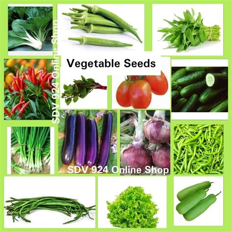 okra charity|Iba pa.